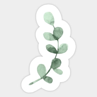 Eucalyptus leaf Sticker